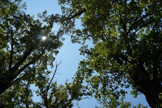 20120715_17
